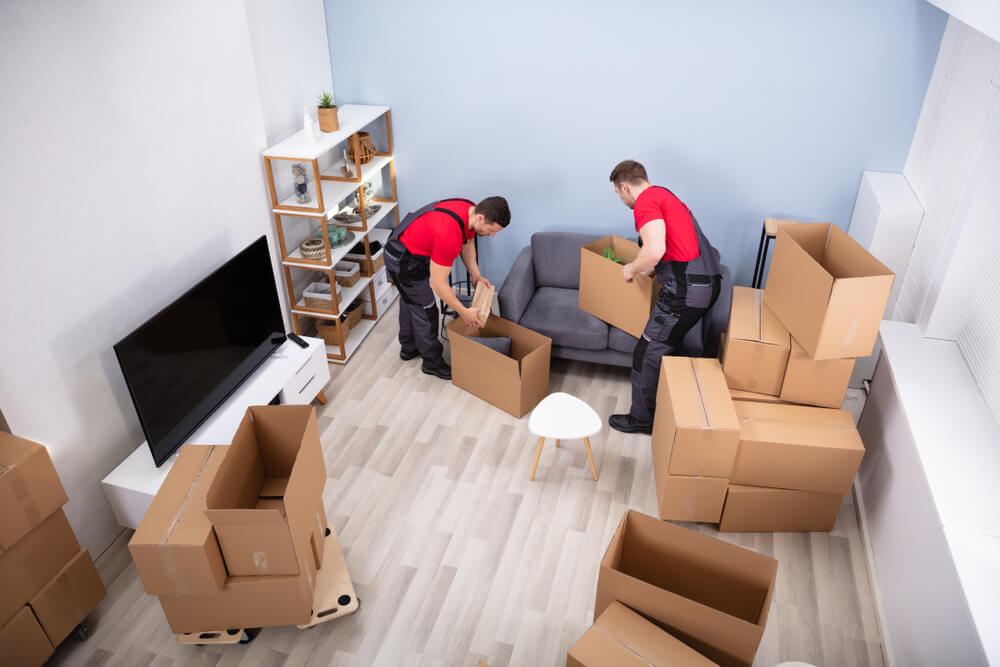 Comprehensive Moving Services in Florida